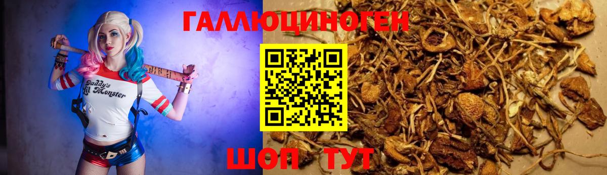 Гудермес  Галлюциногенные грибы ЛСД  Вход с VPN 