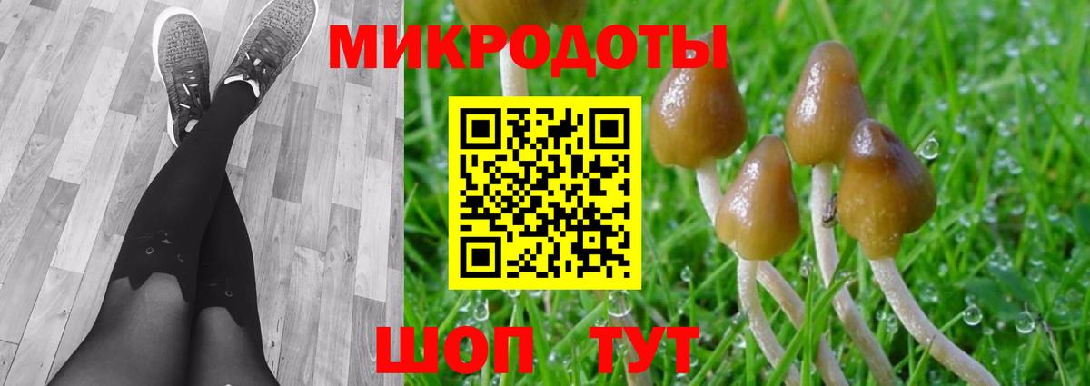 Псилоцибиновые грибы MAGIC MUSHROOMS Гудермес